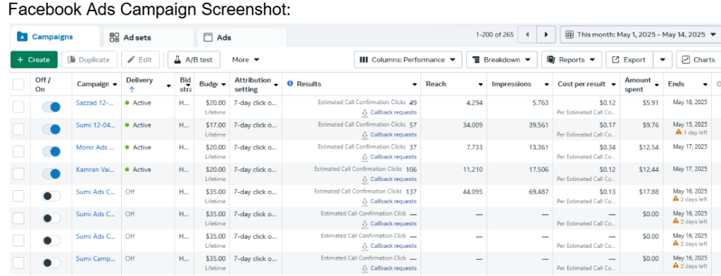 Meta Ads Campaign Management & Performance Optimization
