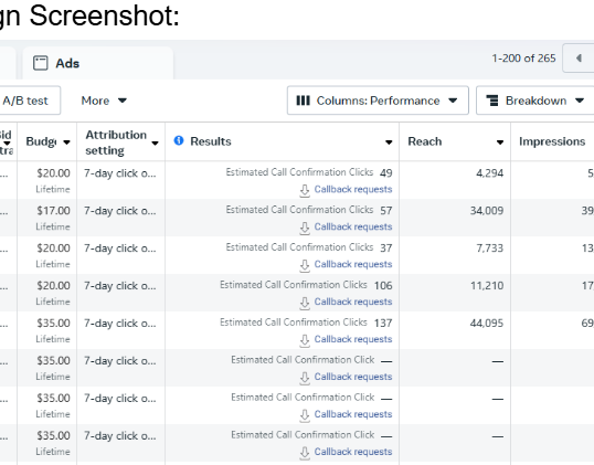 Meta Ads Campaign Management & Performance Optimization