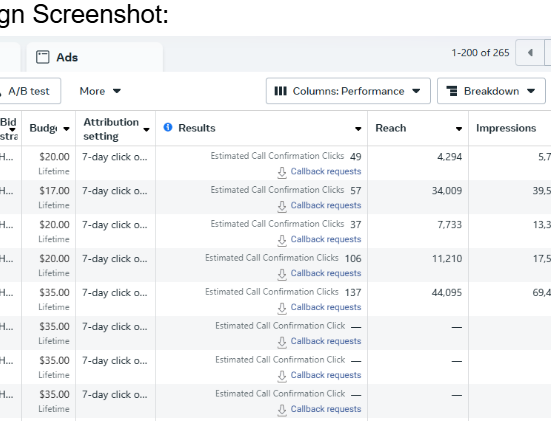 Meta Ads Campaign Management & Performance Optimization