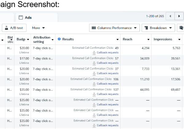 Meta Ads Campaign Management & Performance Optimization